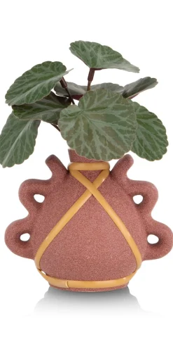 XOOON Saxifrage Mini Bush H13cm kunstbloem in de kleur Groen^ Woonaccessoires