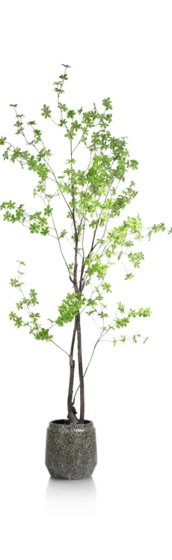 XOOON Tropaeolum kunstplant H210cm - COCOmaison^ Woonaccessoires