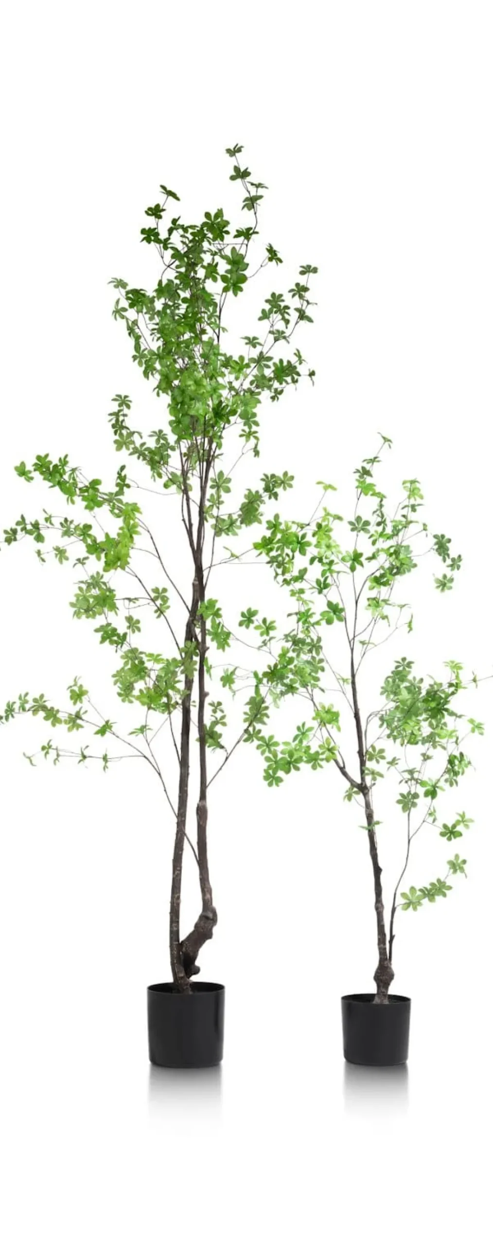 XOOON Tropaeolum kunstplant H210cm - COCOmaison^ Woonaccessoires