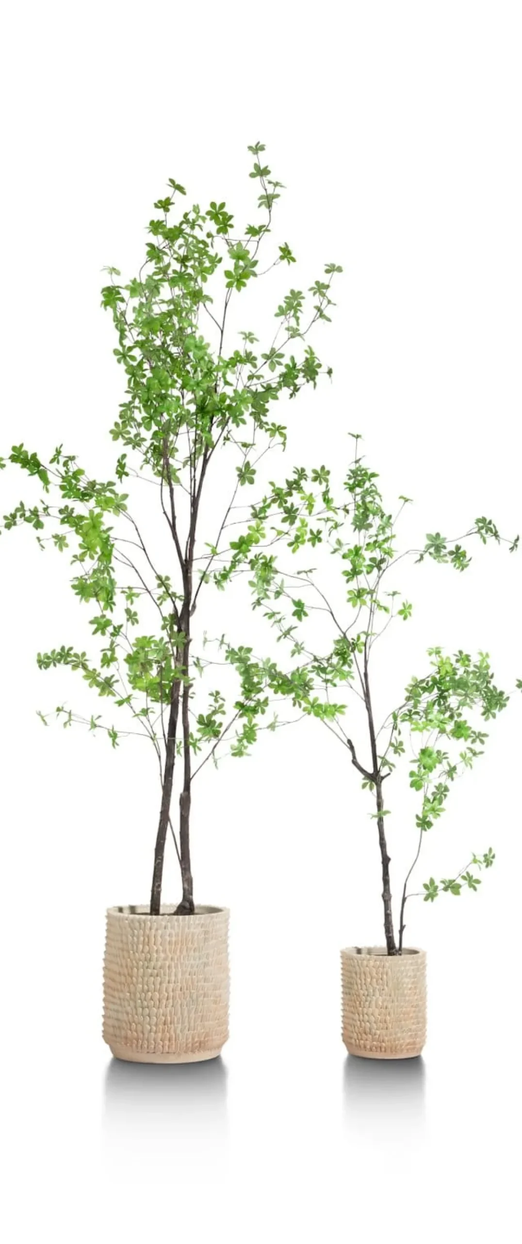 XOOON Tropaeolum kunstplant H210cm - COCOmaison^ Woonaccessoires