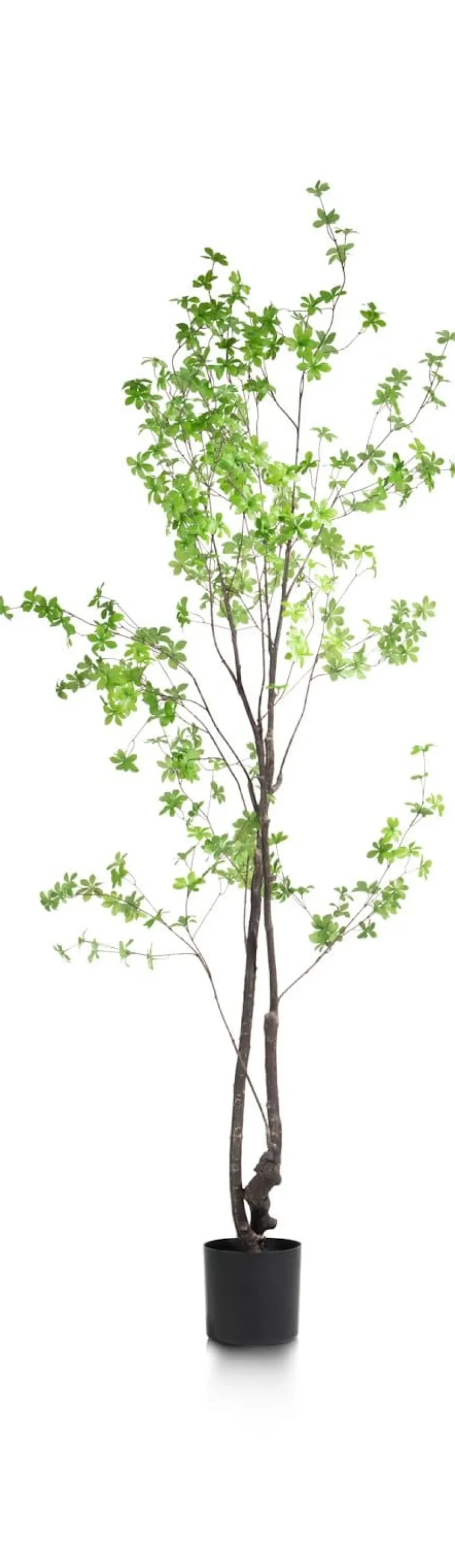 XOOON Tropaeolum kunstplant H210cm - COCOmaison^ Woonaccessoires